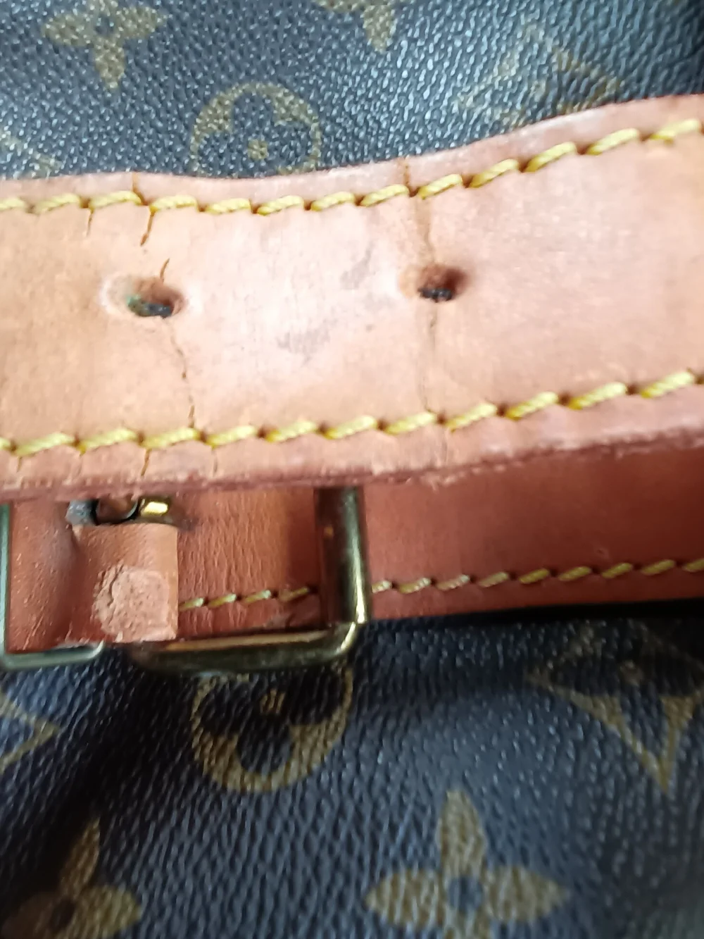 Louis Vuitton vintage louis